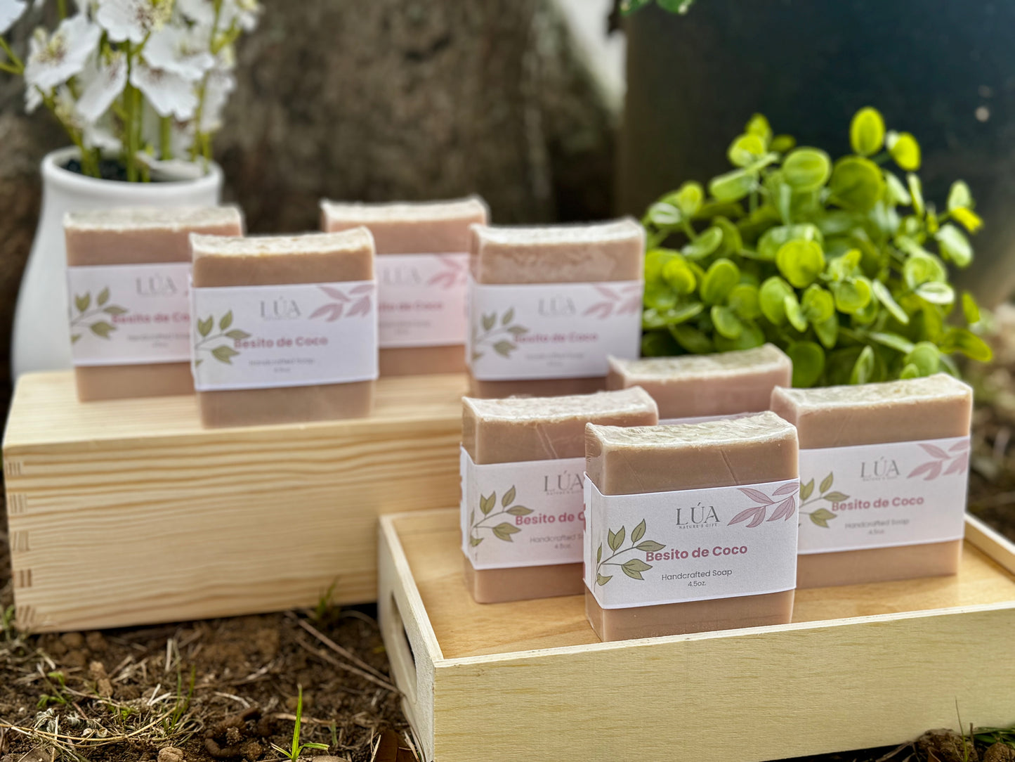 Jabón Besito de Coco