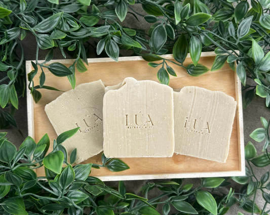 Jabón Aloe Vera (NEW)