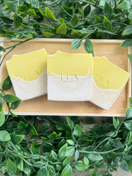 Jabón Sol de Coco