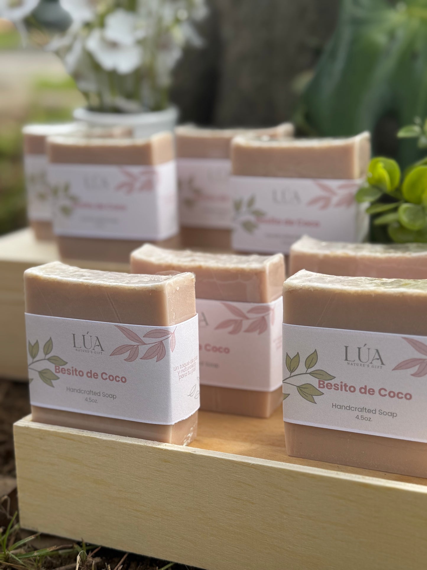 Jabón Besito de Coco