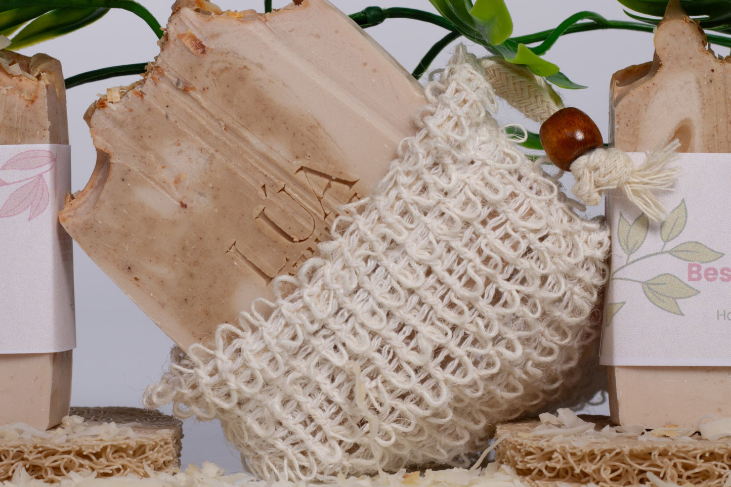 Malla exfoliadora