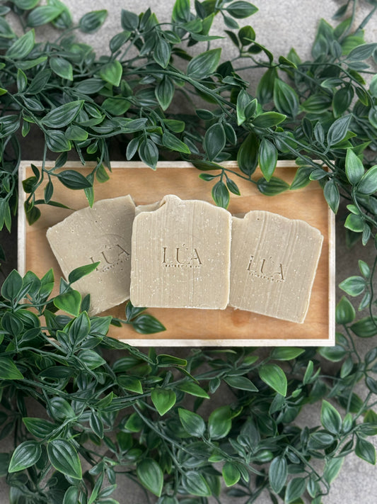 Jabón Aloe Vera (NEW)