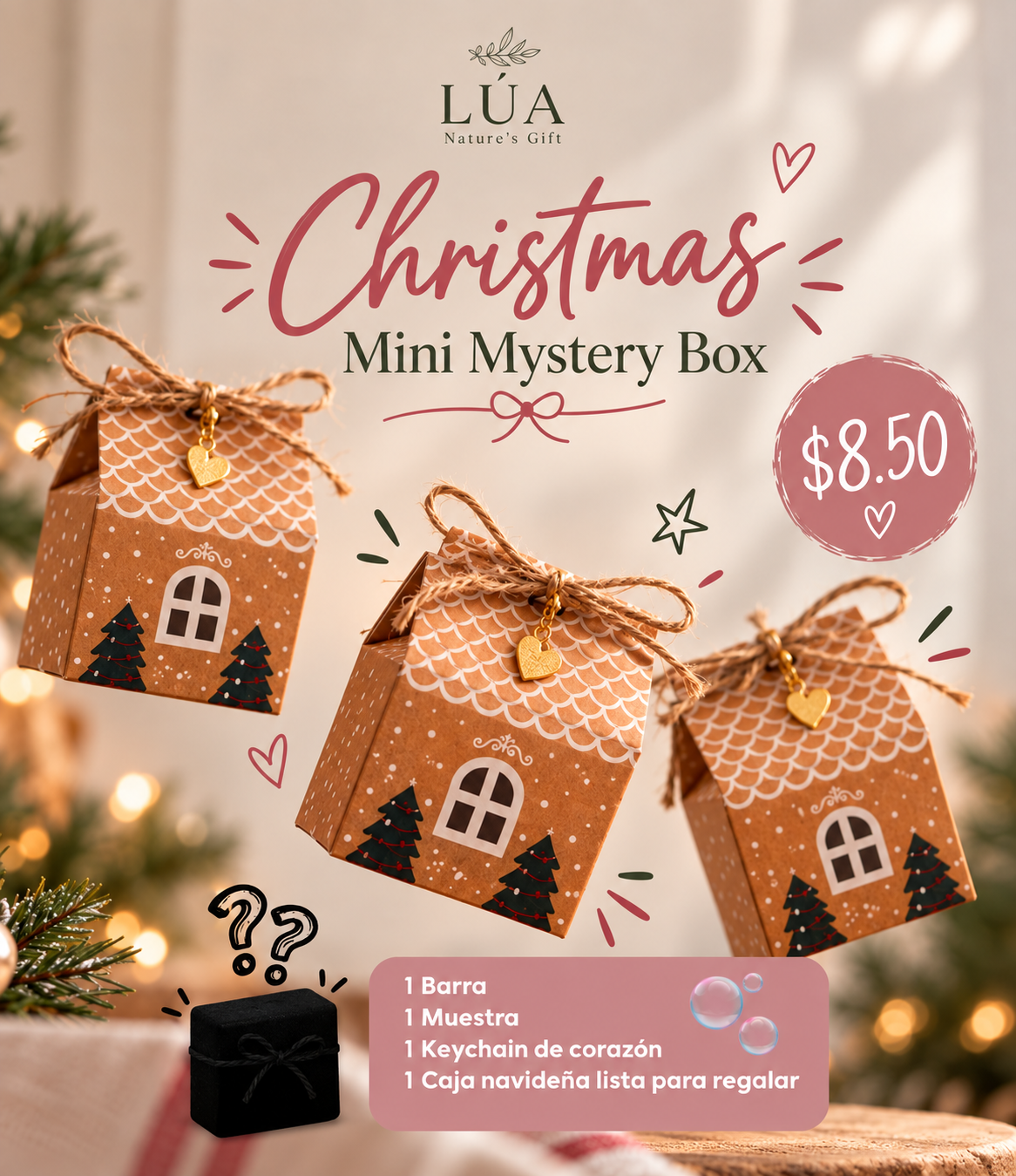 Christmas Mini Mistery Box